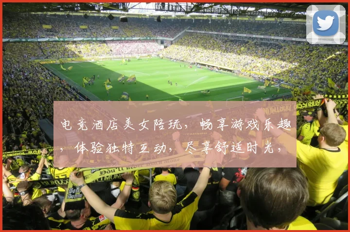电竞酒店美女陪玩，畅享游戏乐趣，体验独特互动，尽享舒适时光，三重惊喜，不容错过