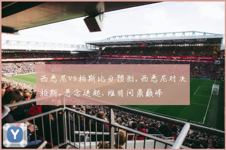 西悉尼vs柏斯比分预测,西悉尼对决柏斯,悬念迭起,谁将问鼎巅峰