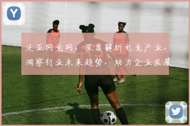 泛亚网竞网，深度解析电竞产业，洞察行业未来趋势，助力企业发展新篇章